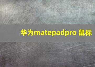 华为matepadpro 鼠标